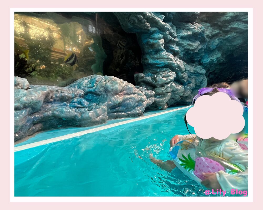 ハワイアンズ 水槽がある 流れるプール