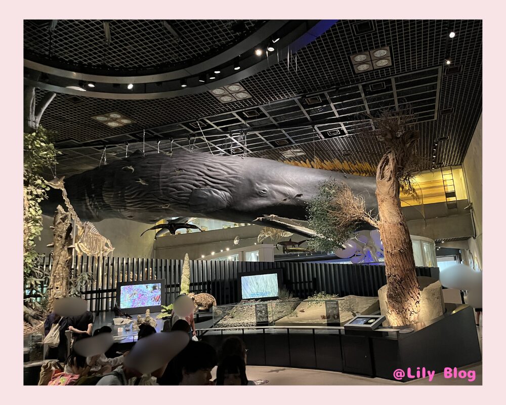 国立科学博物館 大きなクジラの模型