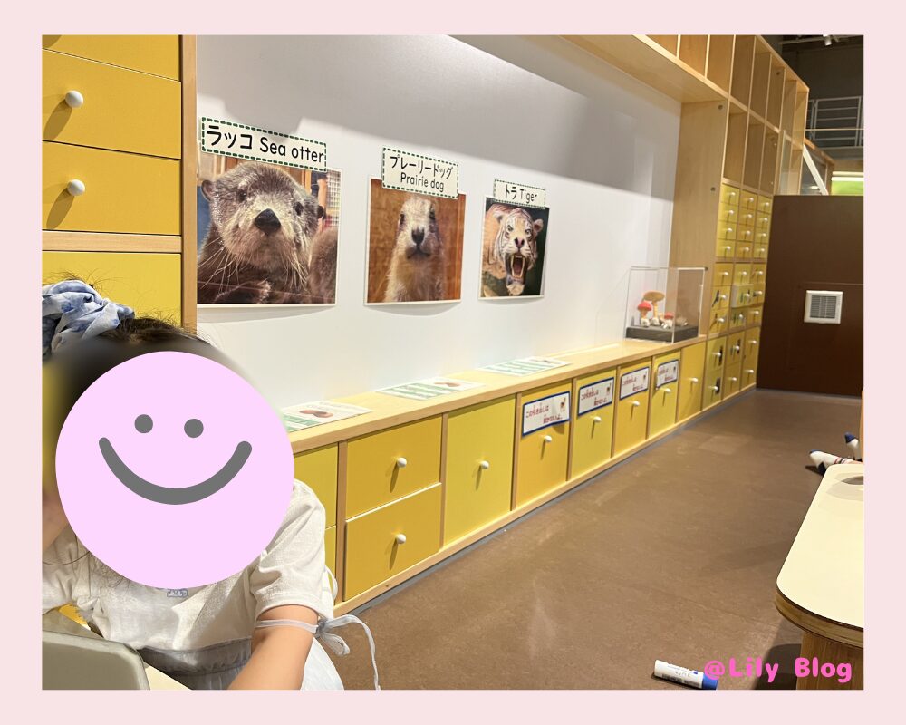 国立科学博物館 コンパス 工作タイム