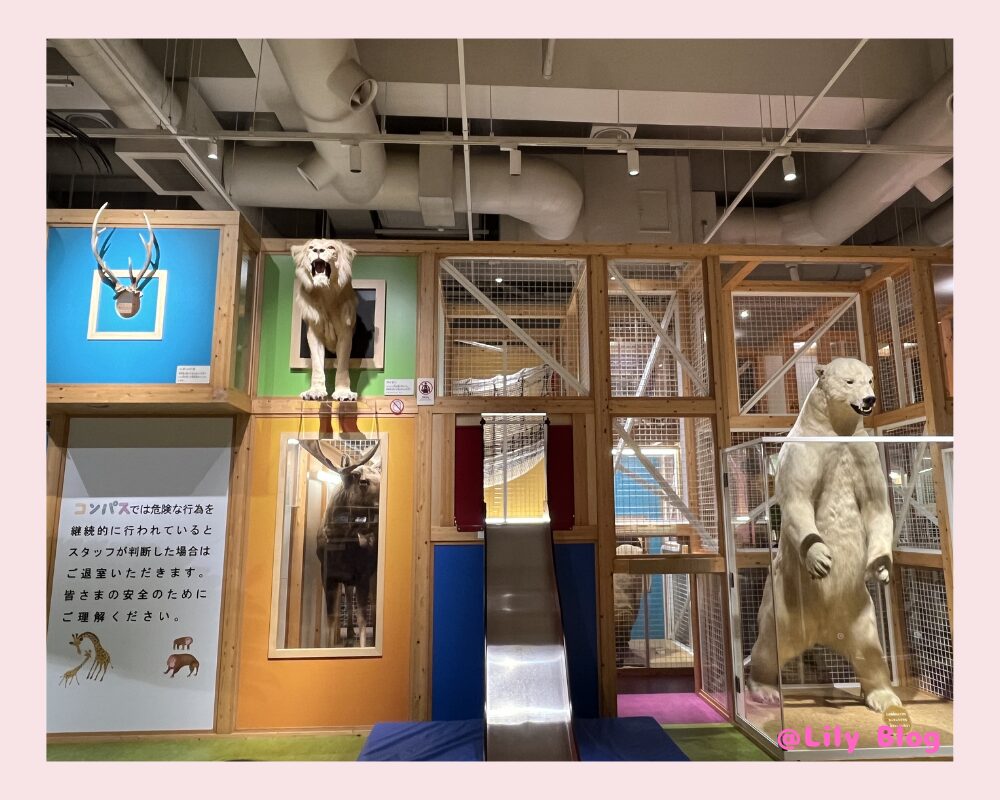 国立科学博物館　コンパスの写真